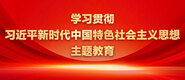 久久叉学习贯彻习近平新时代中国特色社会主义思想主题教育_fororder_ad-371X160(2)